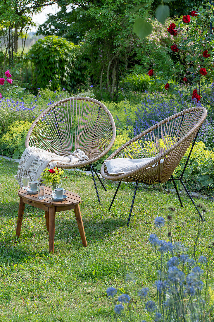 Sitzplatz Acapulco im Garten vor Blumenbeeten mit Frauenmantel (Alchemilla), Kletterrose 'Santana' (Rosa) und Katzenminzen (Nepeta)