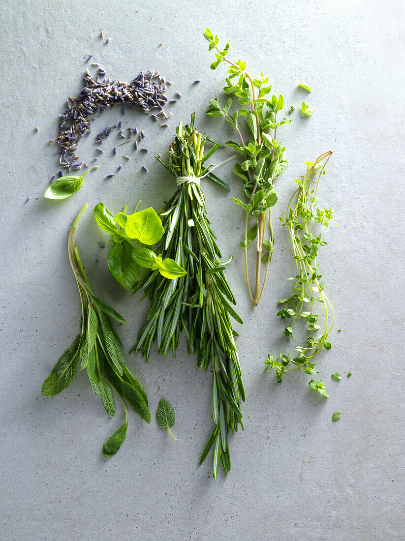 Various fresh herbs on a grey surface