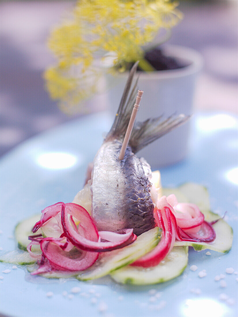 Sardine mit Gurken und roten Zwiebeln