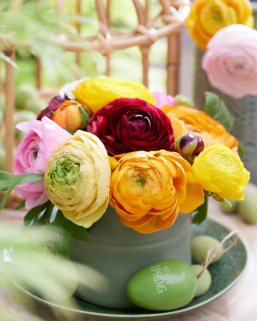 Ranunculus mixed