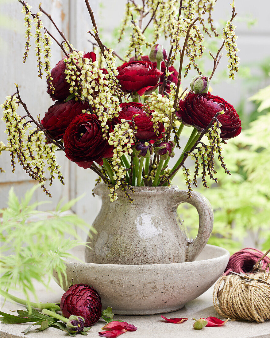 Ranunculus burgundy