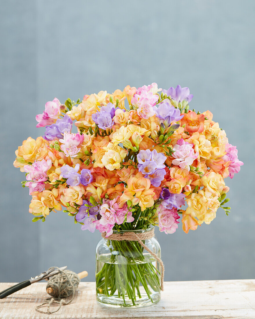 Freesia mix