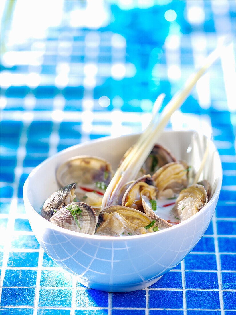 Clams with coconut milk