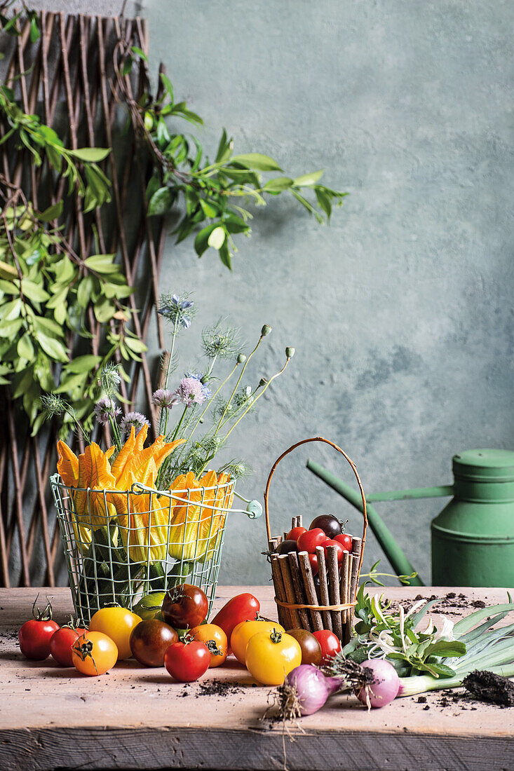 Gemüsestillleben mit Gemüse aus dem Garten