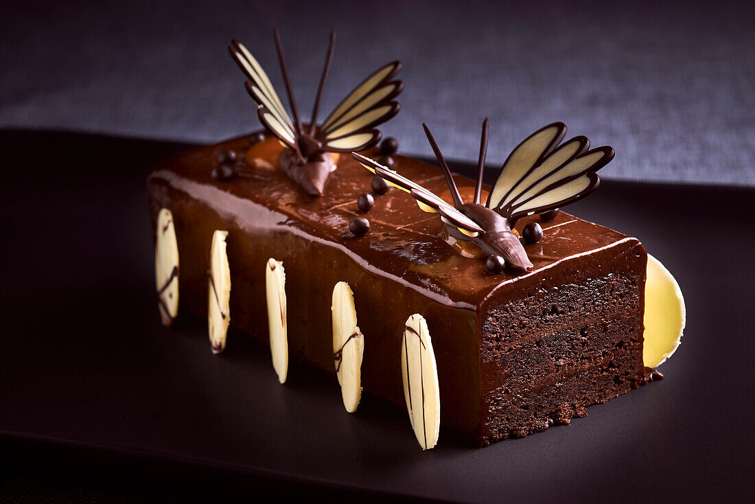 Festive chocolate cake with butterfly decoration