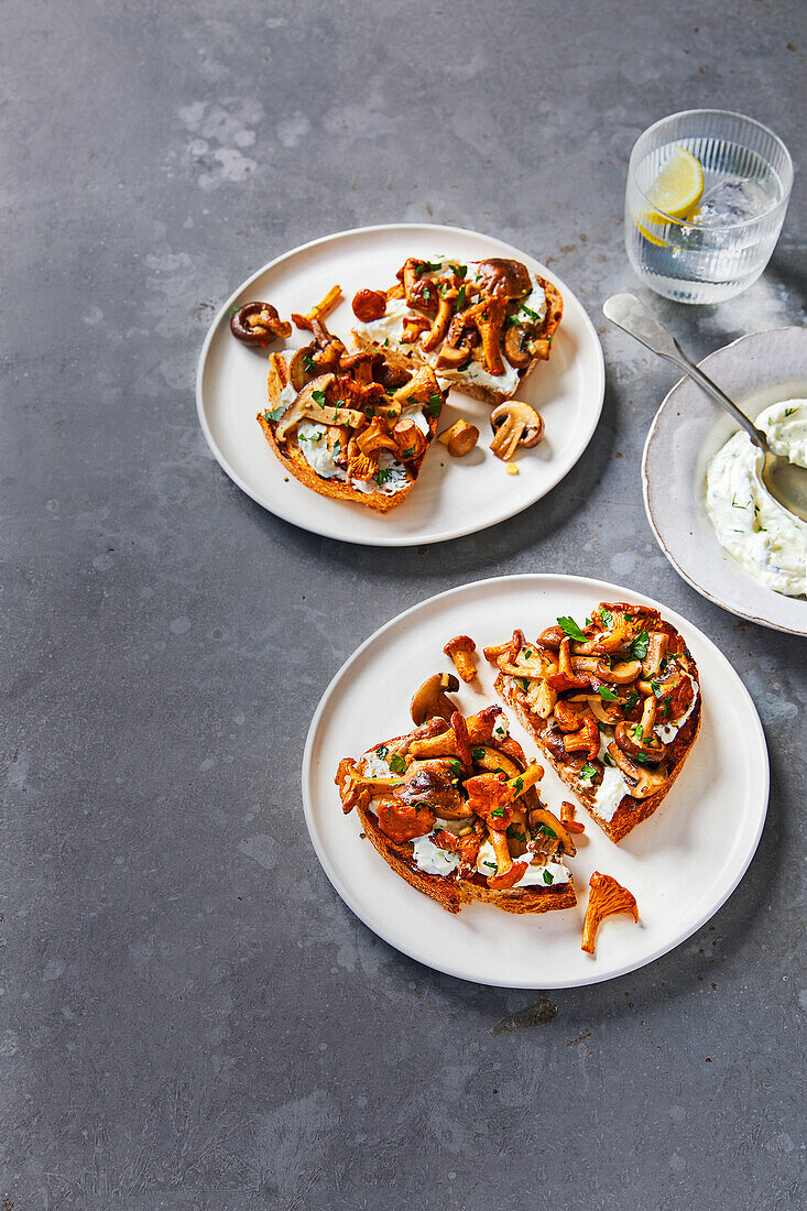 Toasted bread with horseradish labneh and wild mushrooms