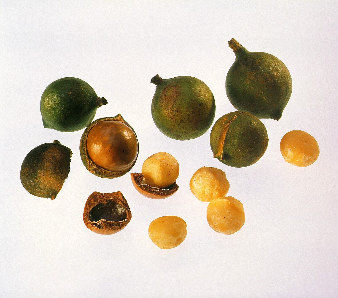 Macadamianüsse: Nusskerne mit & ohne Schale & ganze Früchte