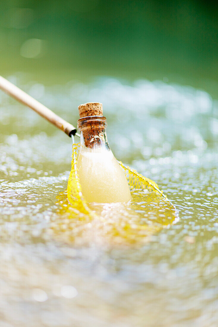 Chilled bottled ginger beer in a net