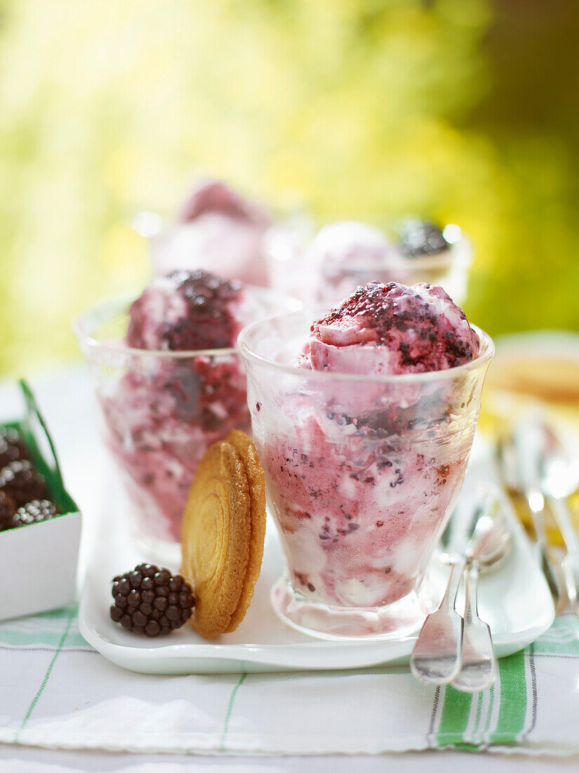 Frozen Blackberry Fool with Shortbread