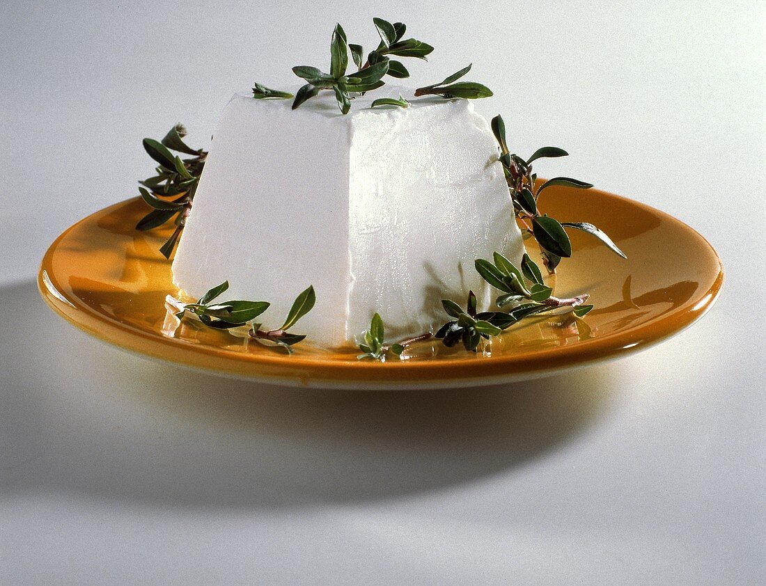 A Block of Goat Cheese