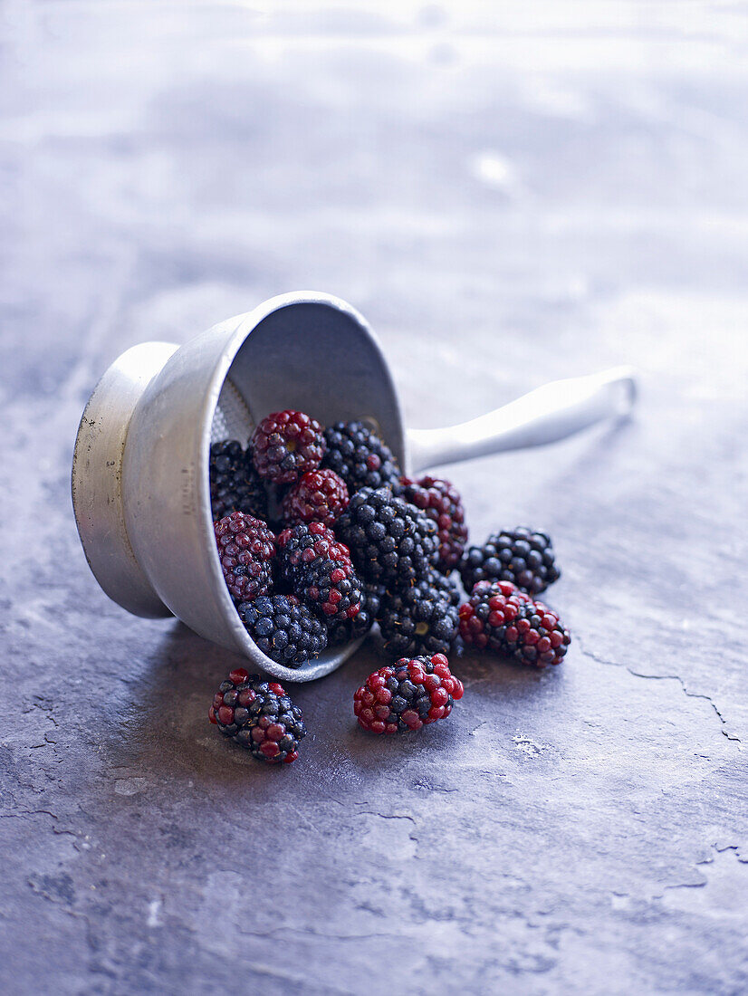 Blackberries