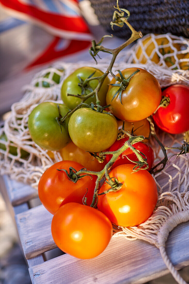 Tomaten auf Einkaufsbeutel