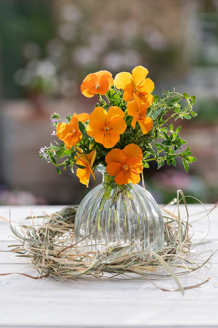Garden pansy (Viola wittrockiana) with thyme in vase, Easter wreath