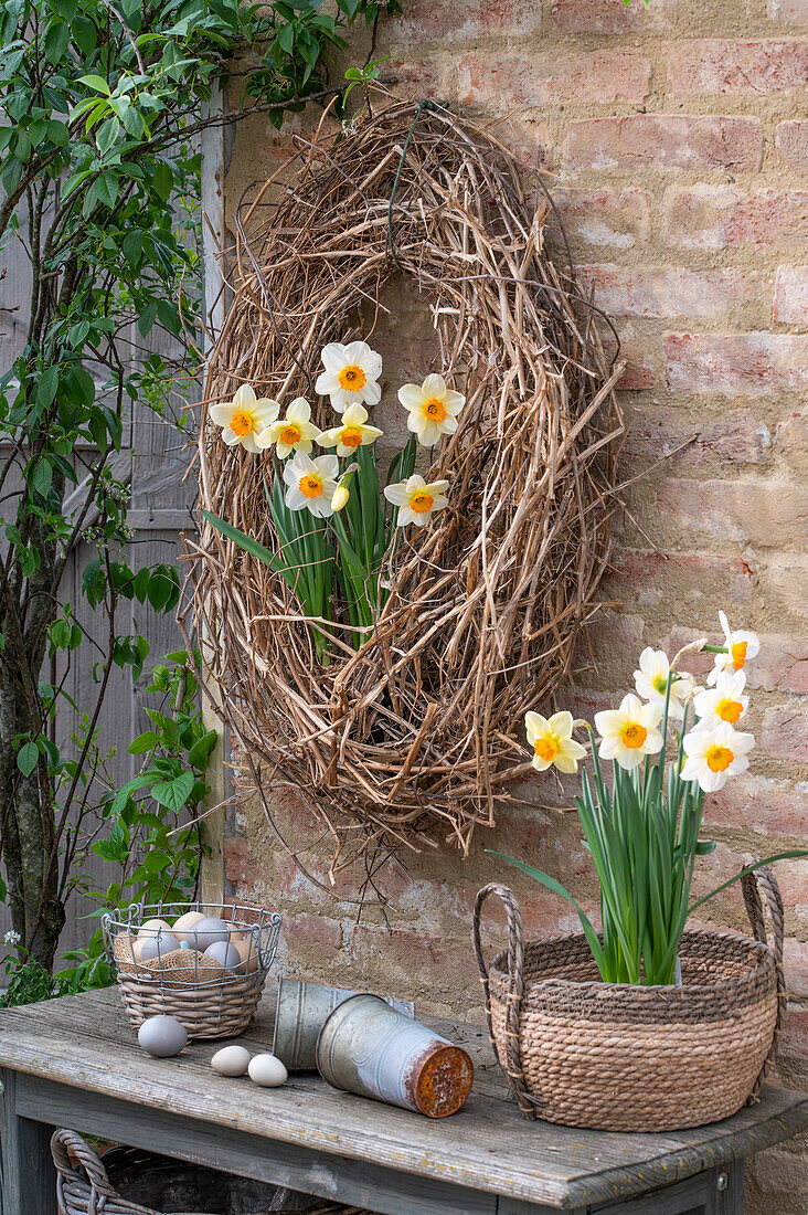 Clematis wreath hanging on a stone wall, daffodils (Narcissus) in a pot, eggs in a basket as Easter decoration