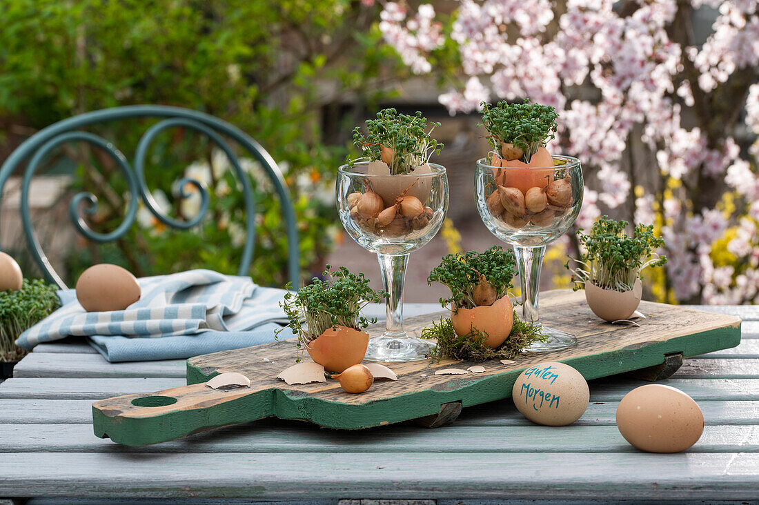 Easter decoration, egg shells with cress and onions in a glass on wooden tray, eggs and labelled egg