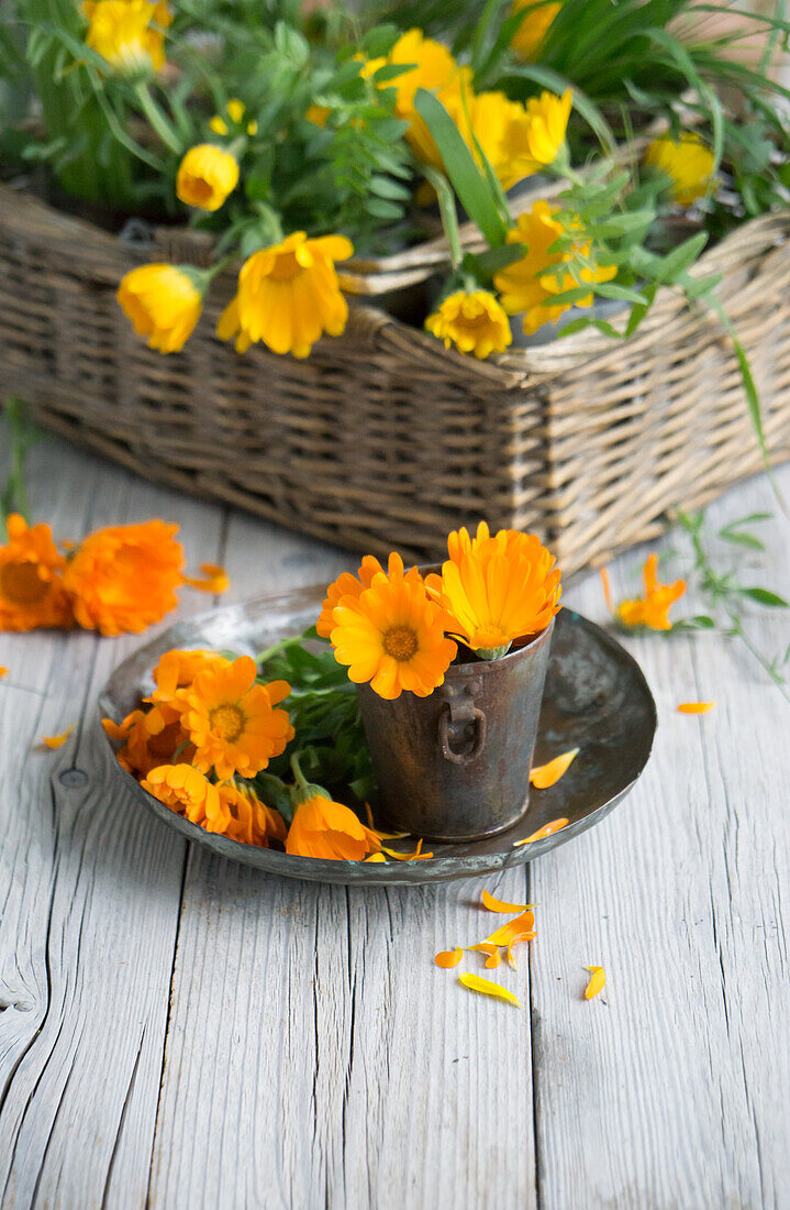 Marigolds (calendula) on a plate and in a vintage metal container and flowers in a basket