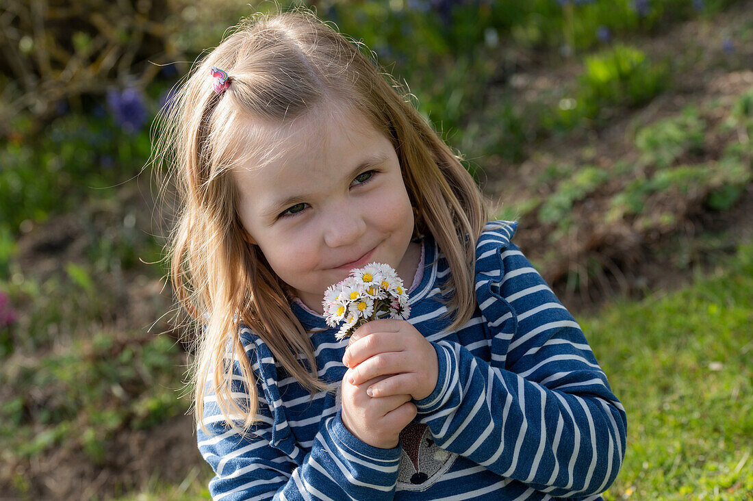 Kleines Mädchen pflückt Gänseblümchen (Bellis Perennis), Portrait