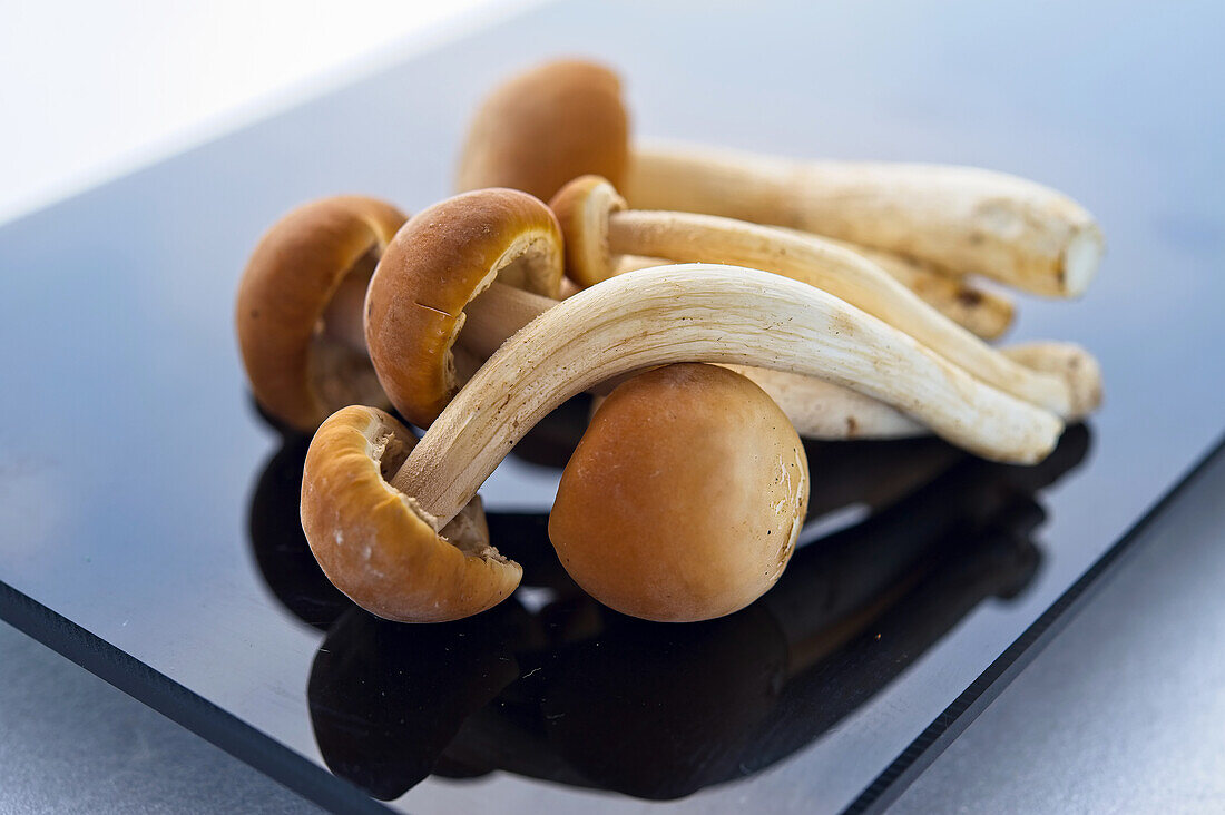 Enoki mushrooms on black plate