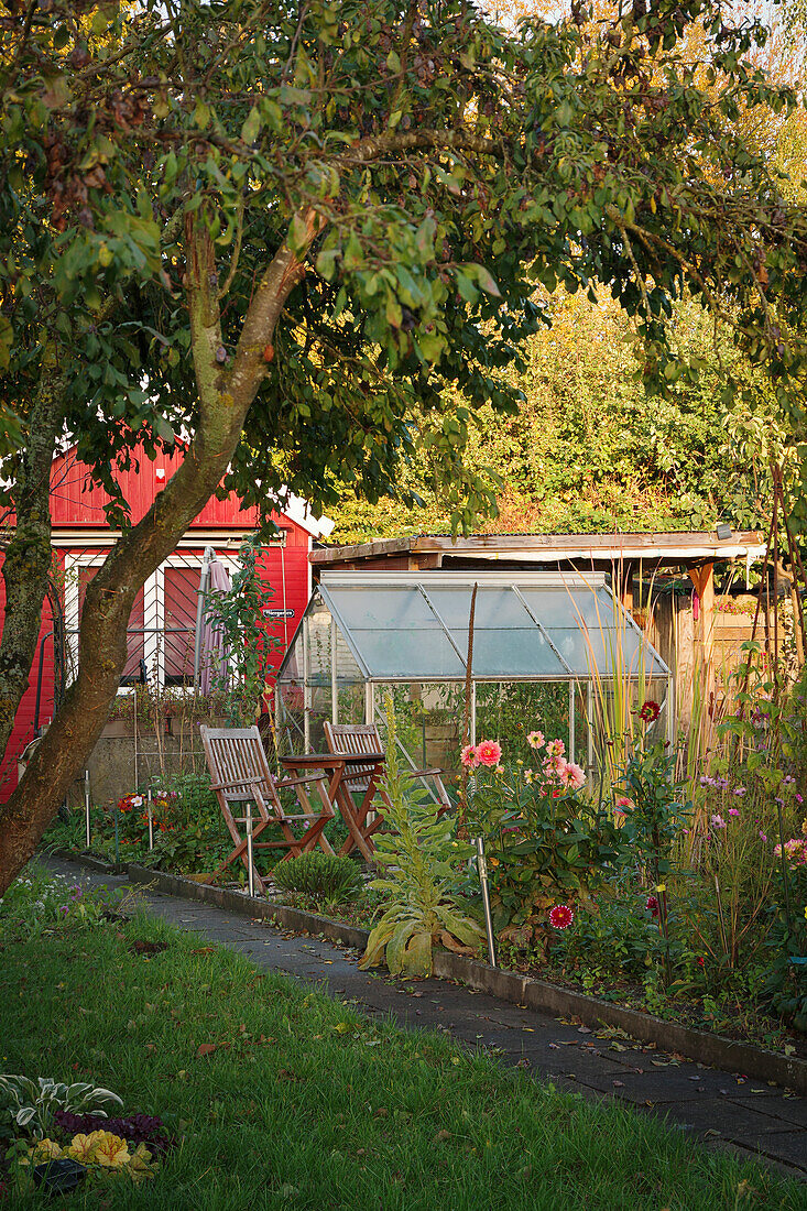 A seating area in an allotment garden next to a greenhouse