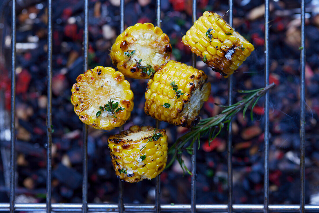 Grilled corn on the cob on a grill grate