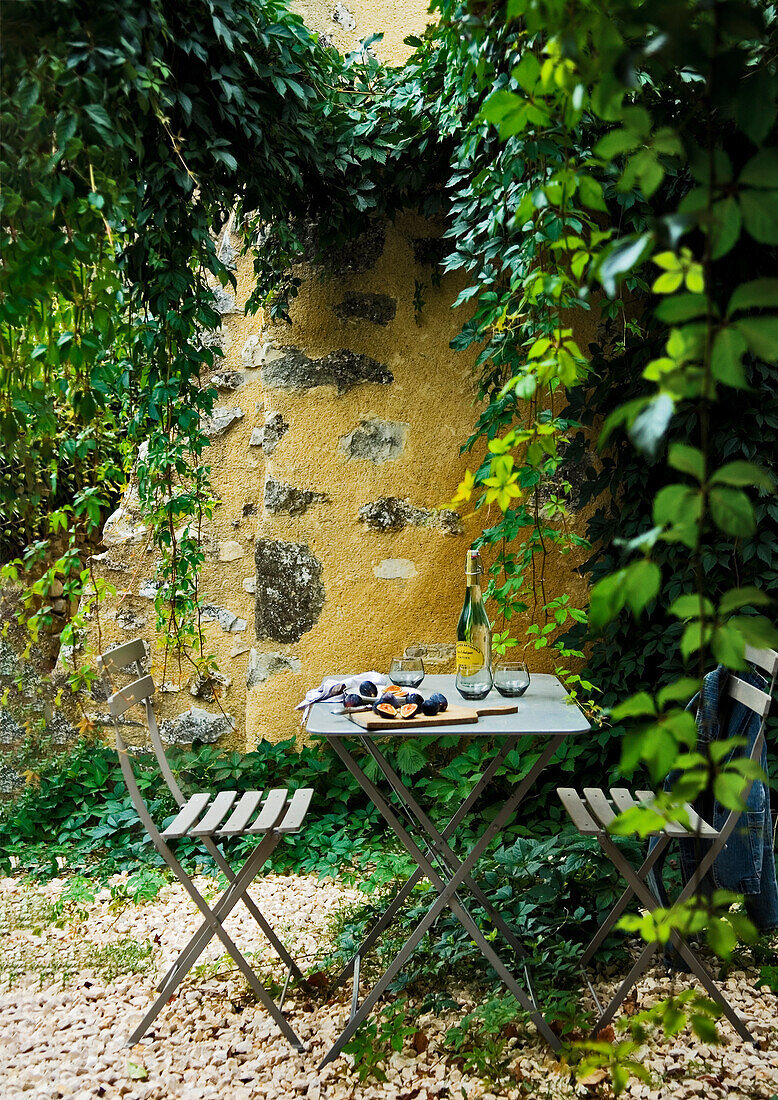 Feigen werden auf einem Gartentisch in einem Innenhof geschnitten