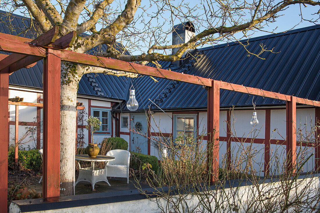 View of terrace area with walnut tree