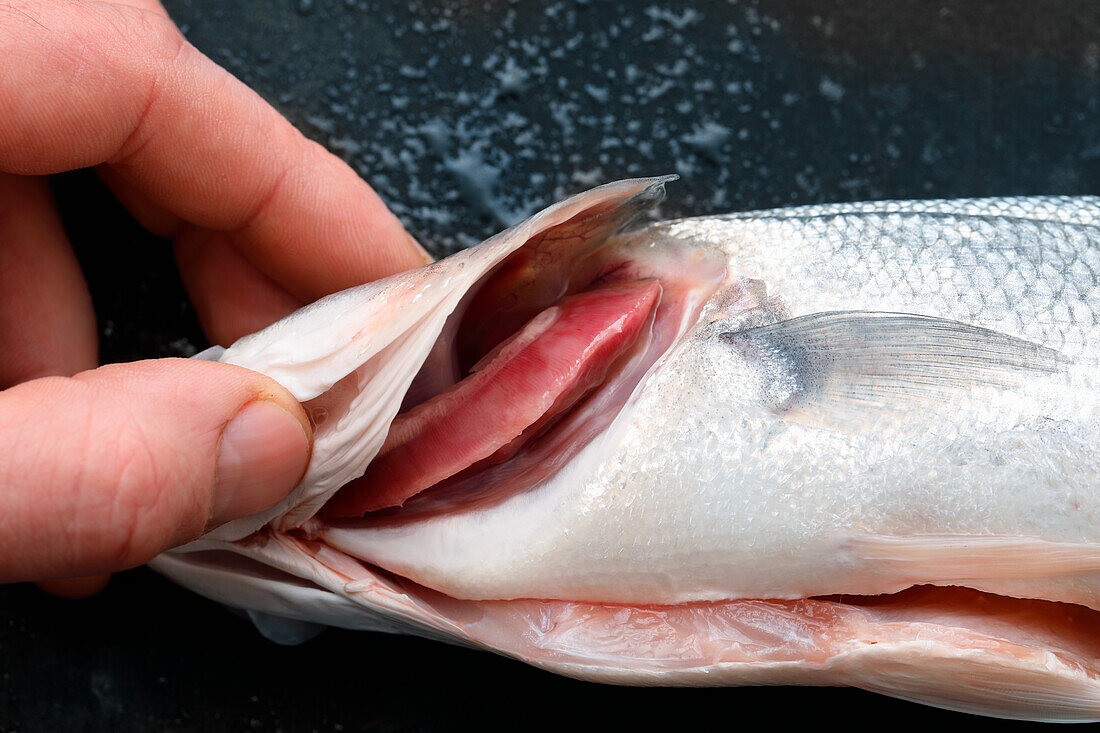 A fresh fish – gills are red and well supplied with blood