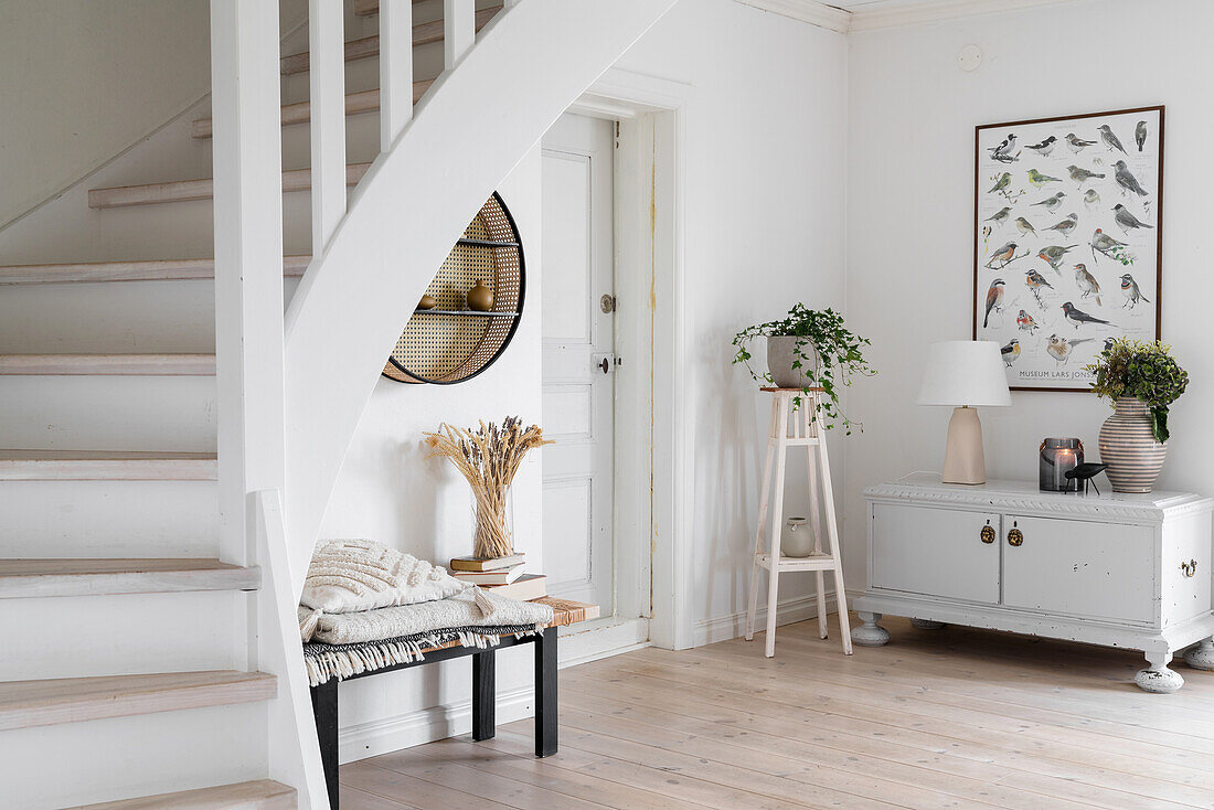 Wooden cupboard, plant stand and stool in bright room with staircase