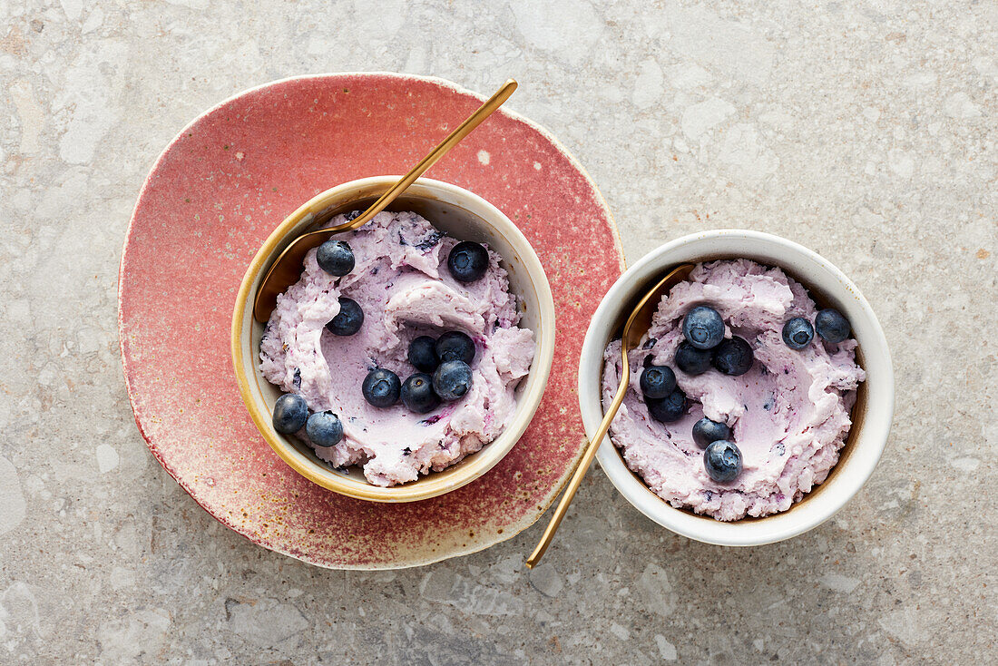 Sugar-free frozen blueberry yoghurt