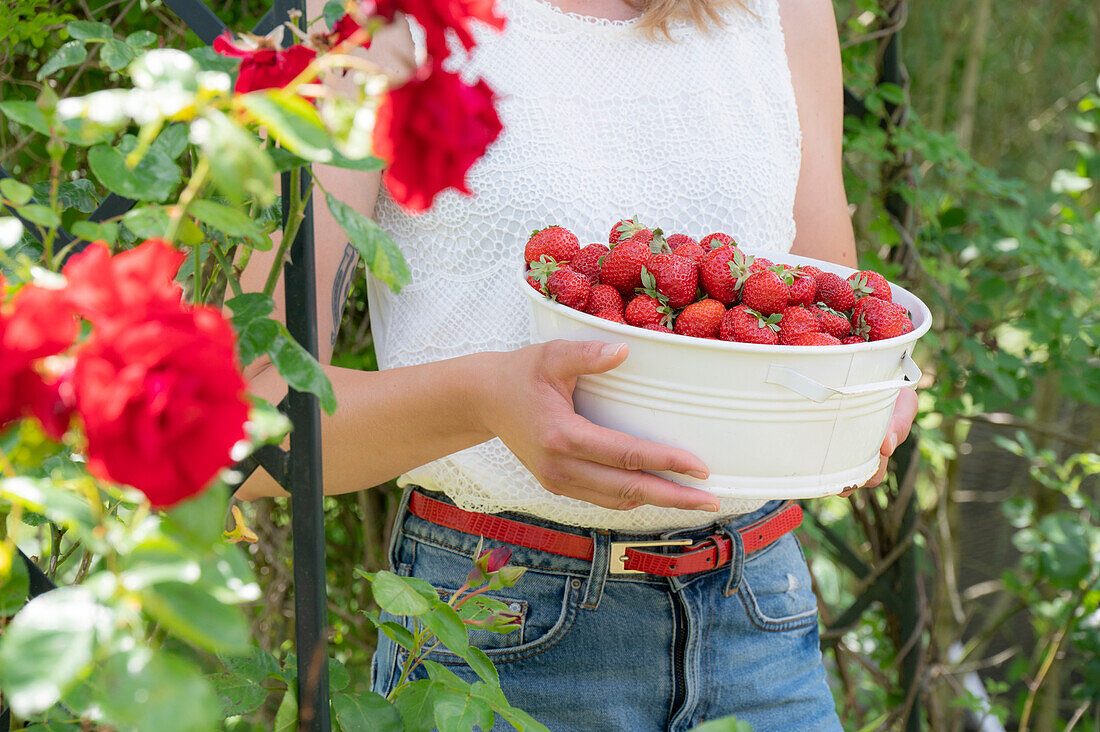 Schale mit frischen Erdbeeren fürs Sommerfest im Garten