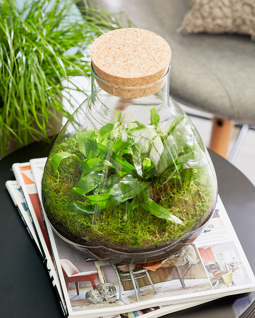 Decorative glass pyramid with ferns