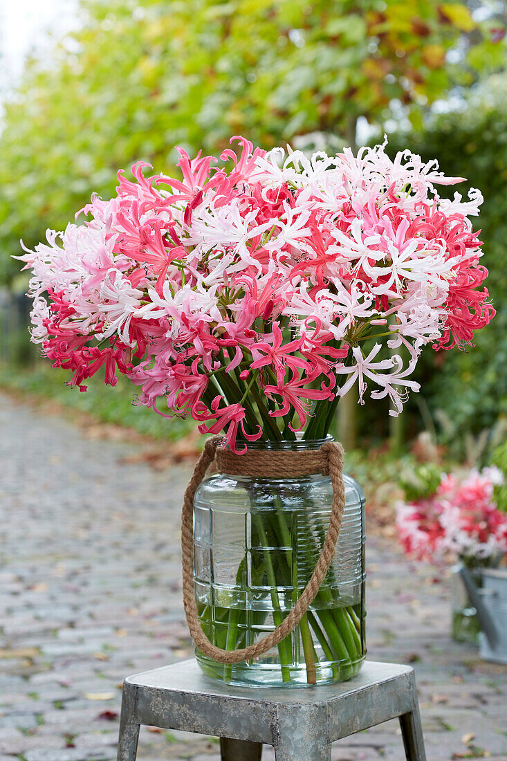 Nerine bouquet