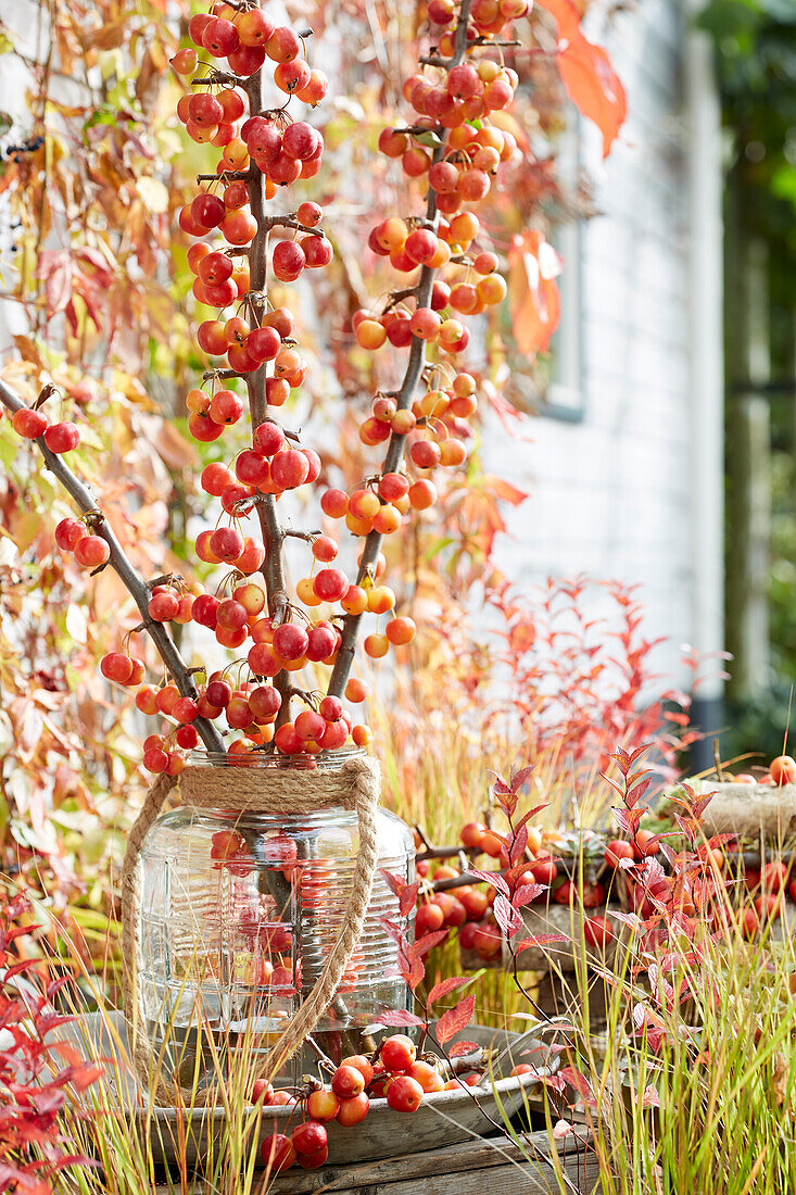 Crab apples on vase