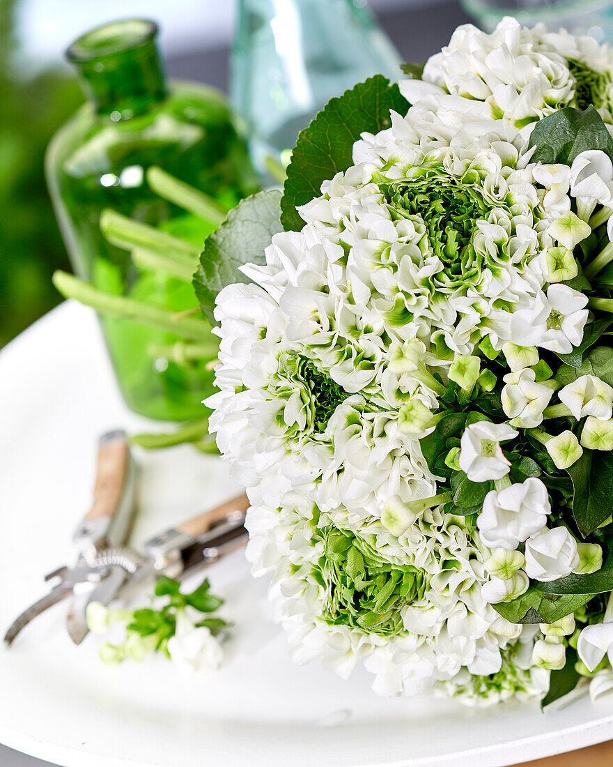 Bouvardia White Sensation, Ranunculus Pon-Pon Igloo 