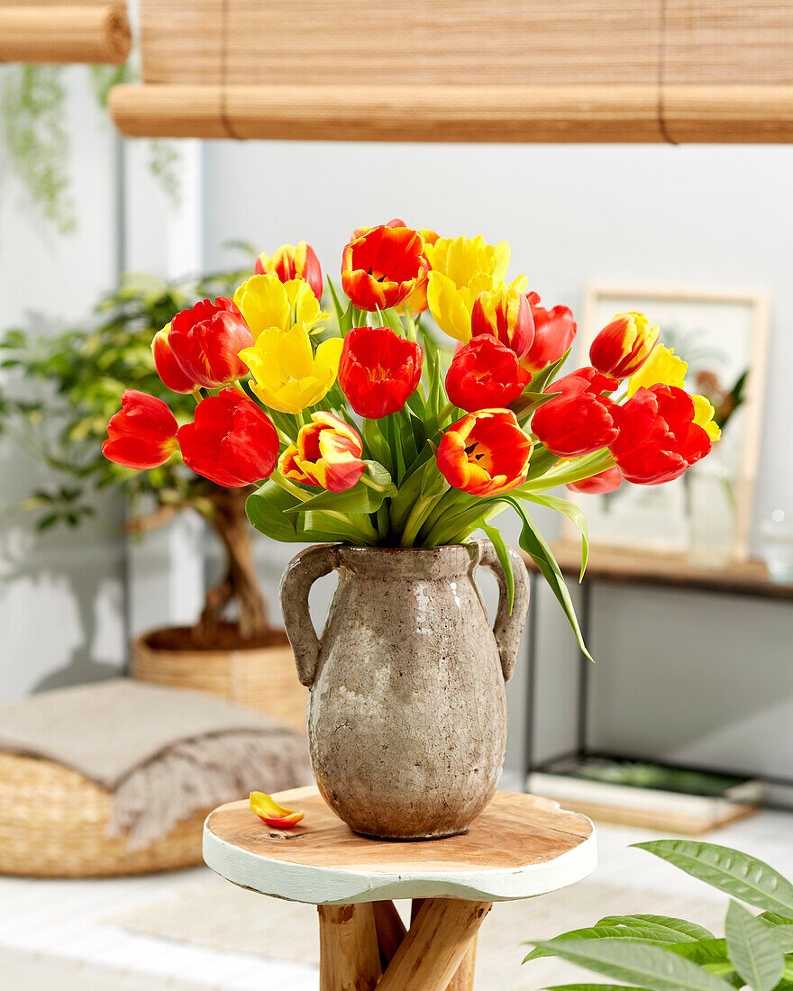 Tulipa bouquet