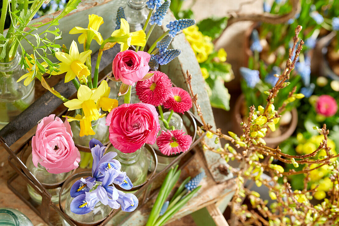 Verschiedene Frühlingsblumen in kleinen Glasflaschen