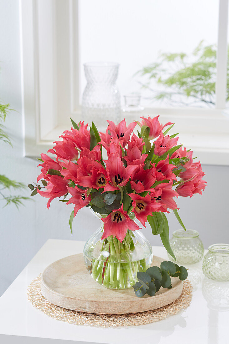 Tulipa Pretty Woman bouquet