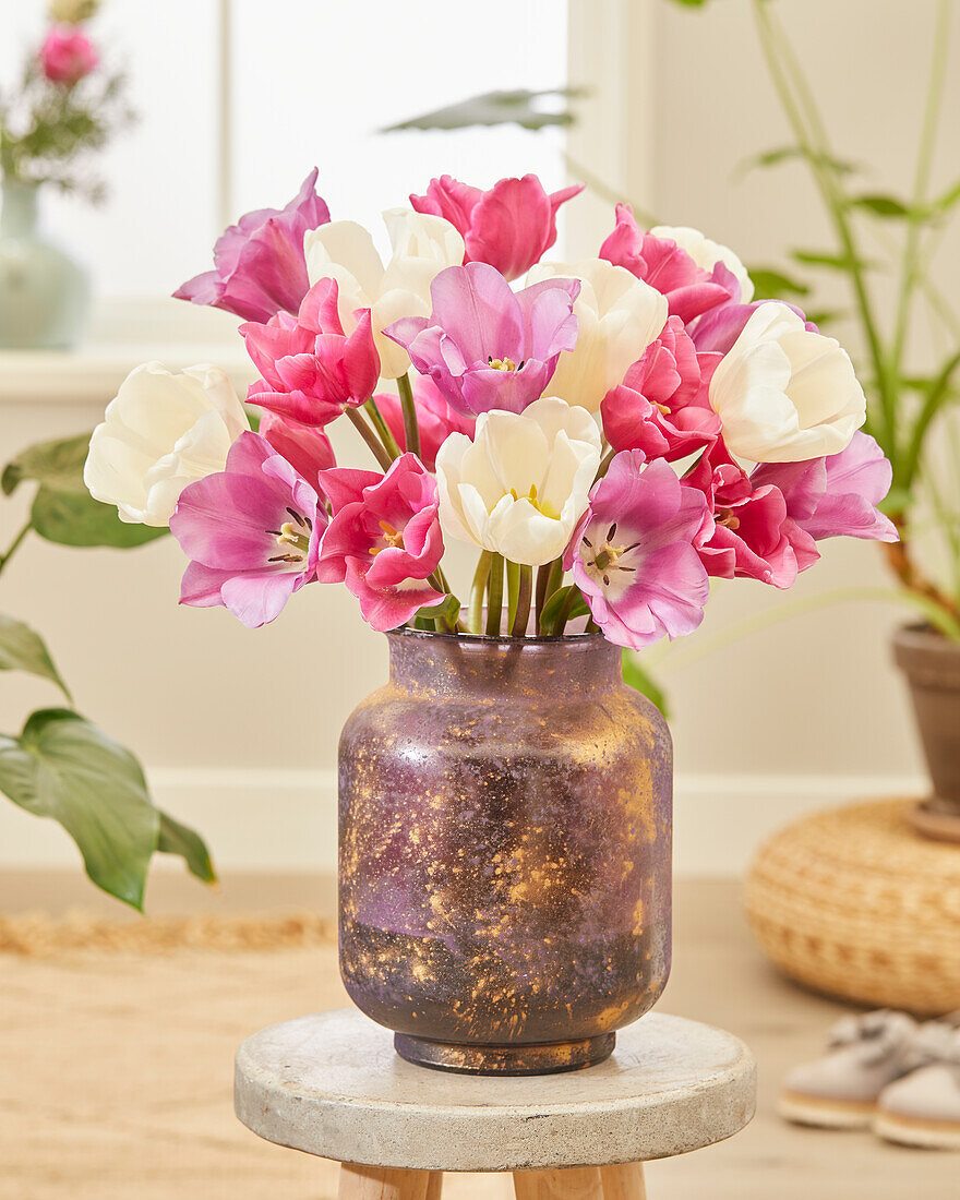 Tulip mix on vase