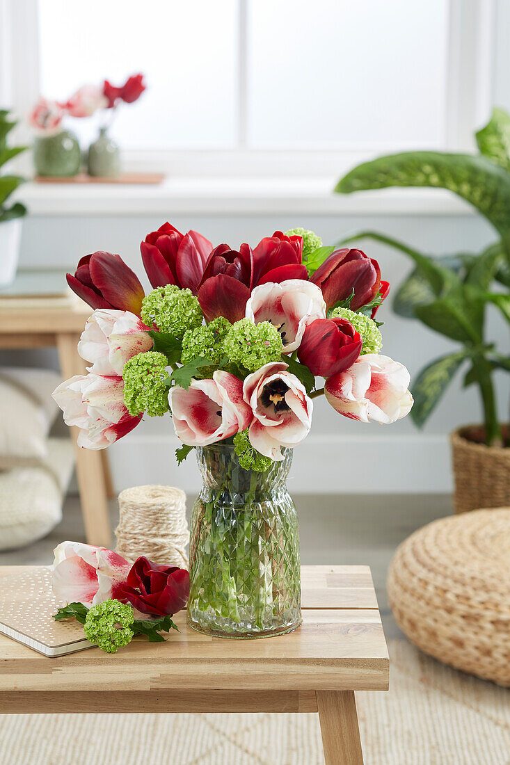 Tulip mix on vase