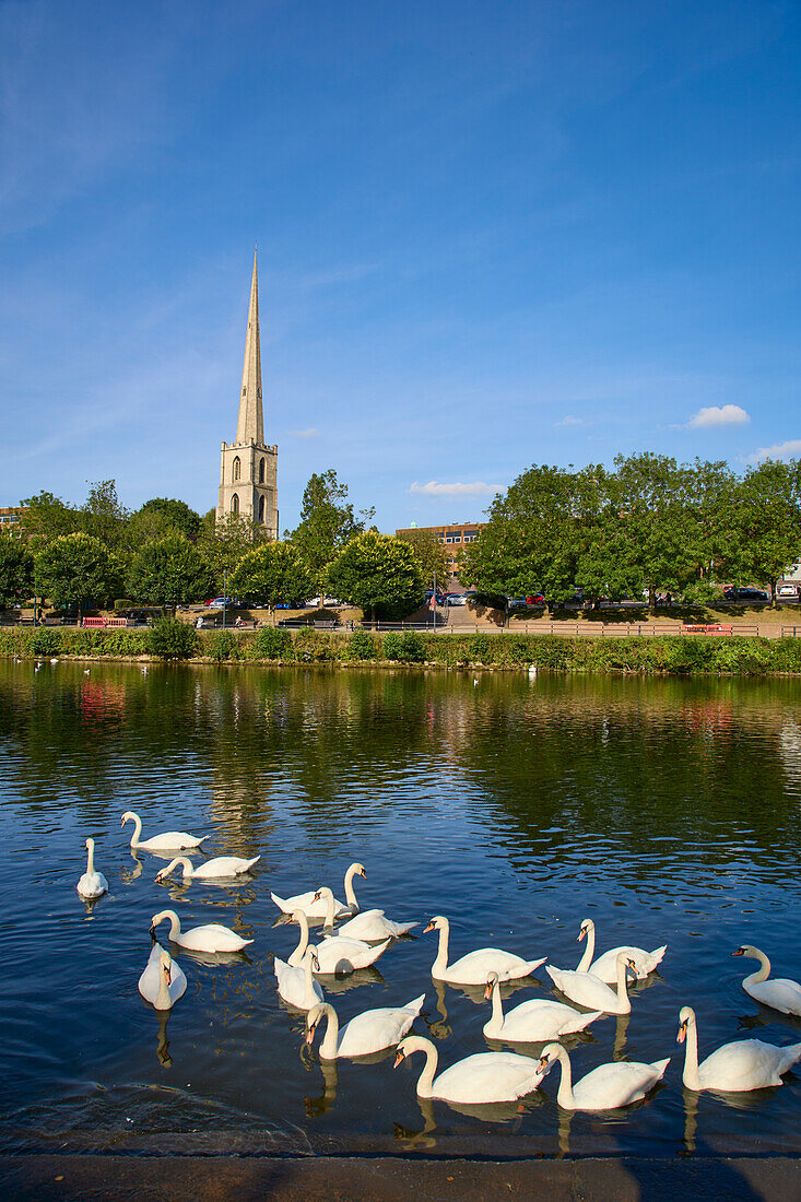 View of River Severn and St. Andrews Church, Worcester, Worcestershire, England, United Kingdom, Europe