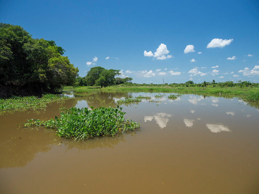 Ein Blick auf den Fluss Rio Tres Irmao, Mato Grosso, Pantanal, Brasilien, Südamerika