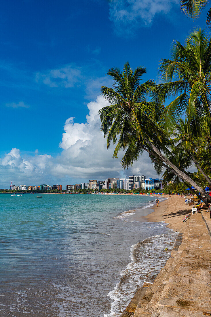 Palmengesäumter Strand, Maceio, Alagoas, Brasilien, Südamerika