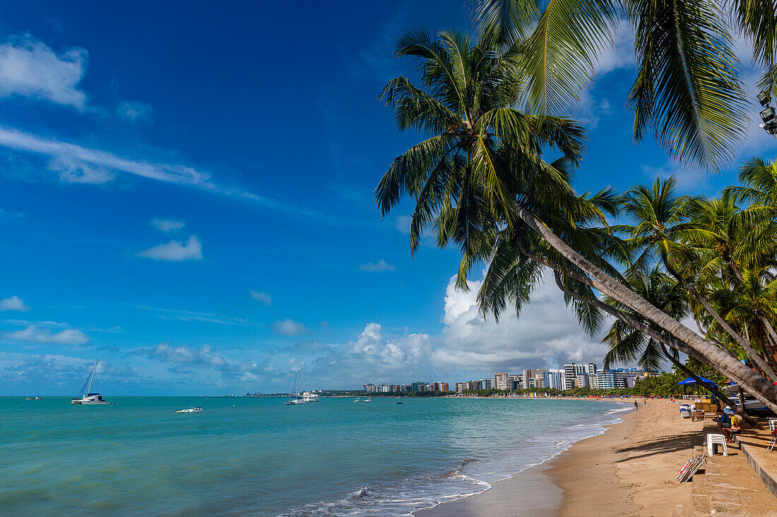 Palmengesäumter Strand, Maceio, Alagoas, Brasilien, Südamerika