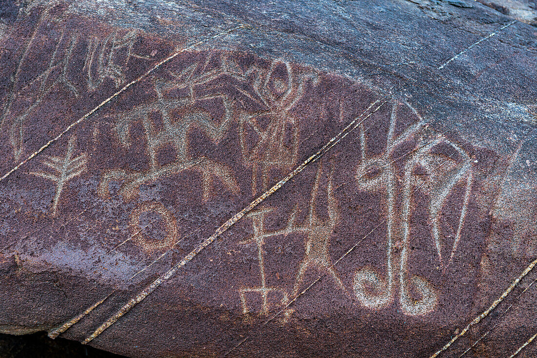 Petrogyphen, Cerros de Mavecure, Ostkolumbien, Südamerika