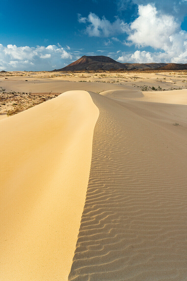 Gelber Sand der Wüstendünen, Corralejo Naturpark, Fuerteventura, Kanarische Inseln, Spanien, Atlantik, Europa