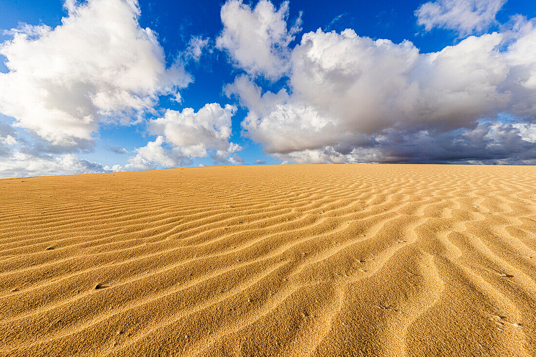 Flauschige Wolken über Wüstensanddünen, modelliert vom Wind, Corralejo Naturpark, Fuerteventura, Kanarische Inseln, Spanien, Atlantik, Europa