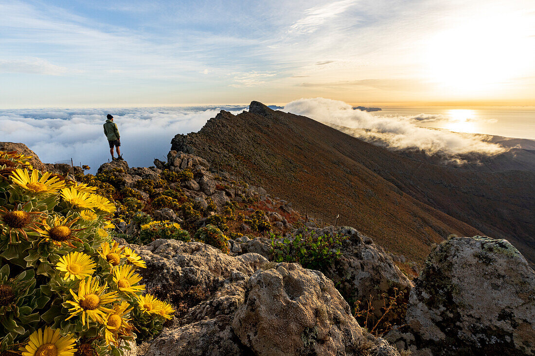 Mann beobachtet den Sonnenaufgang auf dem felsigen Gipfel des Pico de la Zarza, höchster Berg von Fuerteventura, Kanarische Inseln, Spanien, Atlantik, Europa