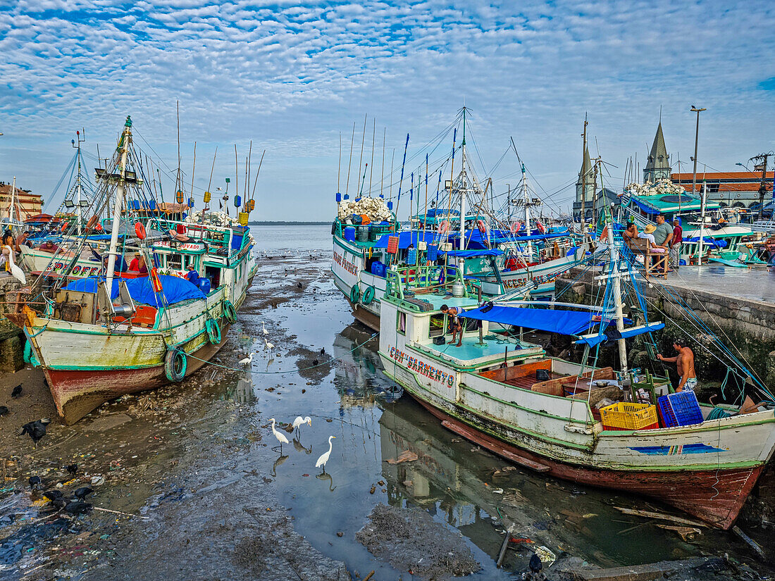 Fishing boats in the market area of Belem, Brazil, South America