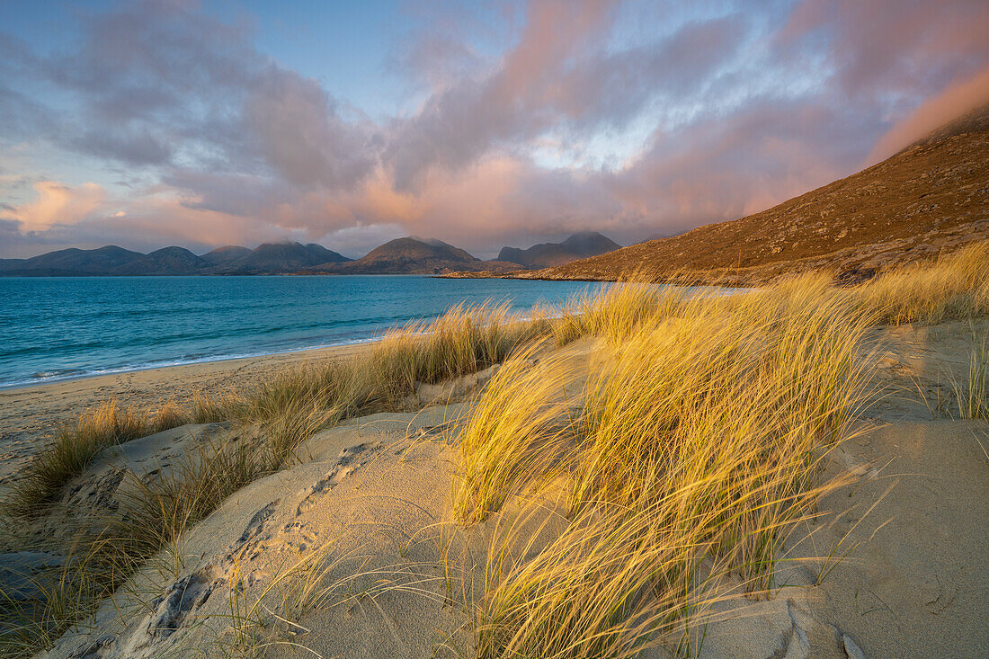 Strandhafer und Sanddünen am Strand von Luskentyre, Blick auf die North Harris Forest Hills, South Harris, Äußere Hebriden, Schottland, Vereinigtes Königreich, Europa