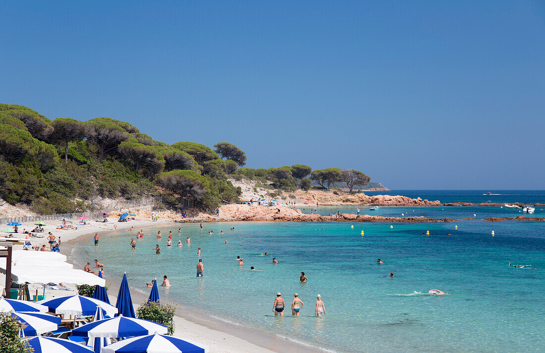 Touristen entspannen sich im seichten türkisfarbenen Wasser vor dem Plage de Palombaggia, Porto-Vecchio, Corse-du-Sud, Korsika, Frankreich, Mittelmeer, Europa